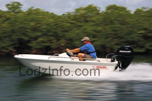 Boston Whaler Sport opinie i specyfikacja